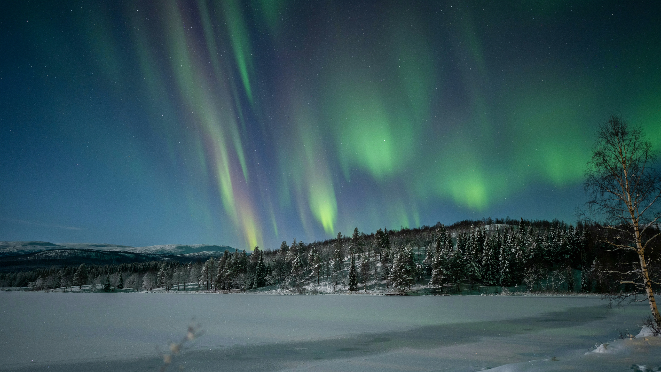 Lapland winter landscape with Northern Lights