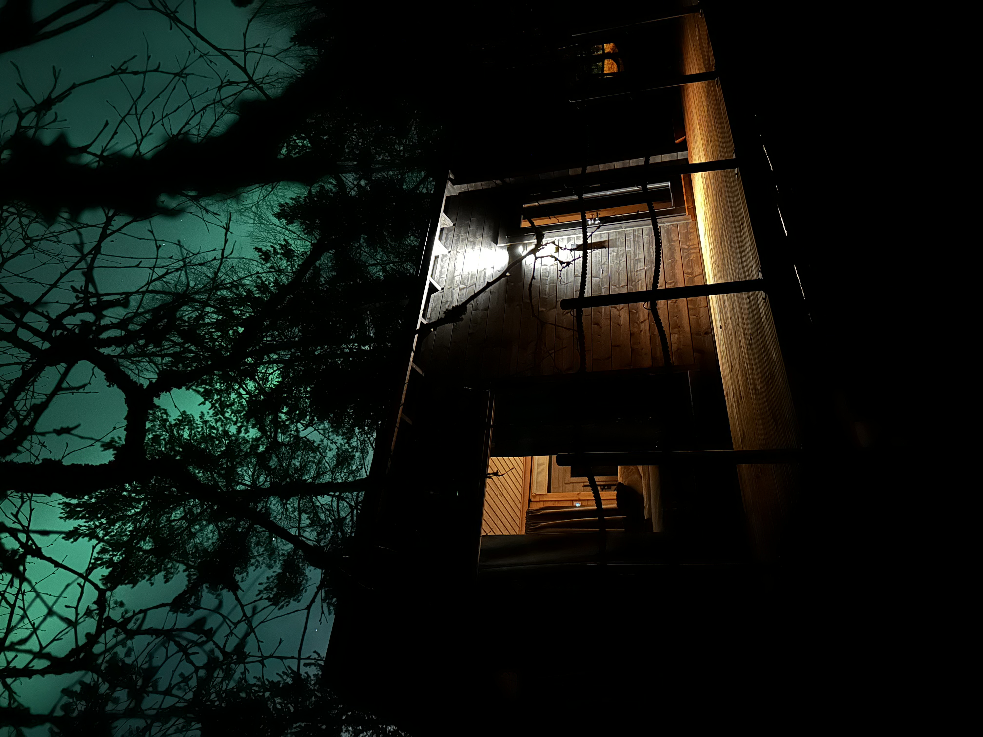 Elves Forest Cabin